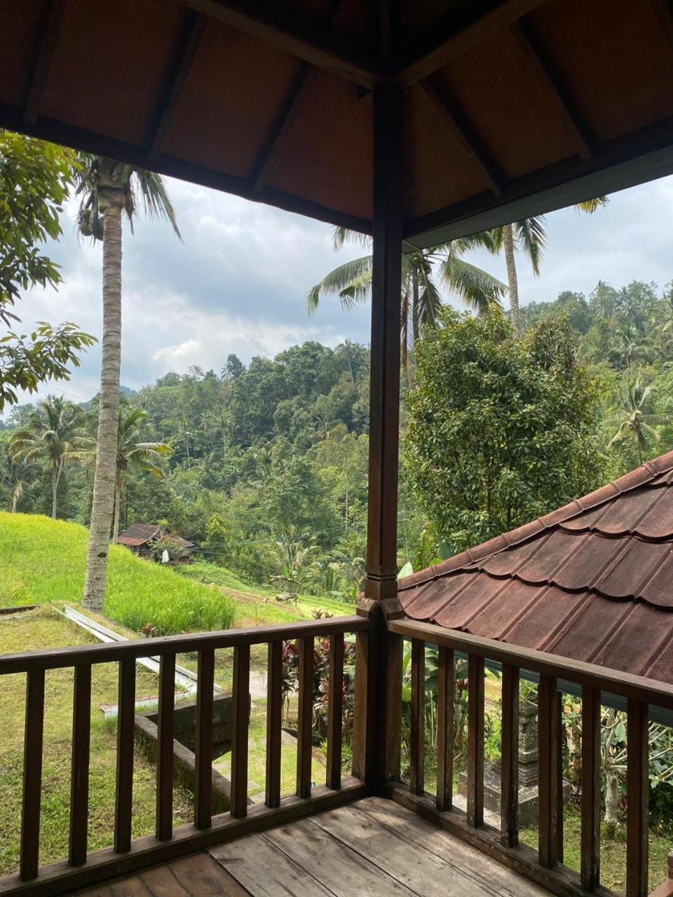 Singaraja Uma D'Nyuh Homestay מראה חיצוני תמונה